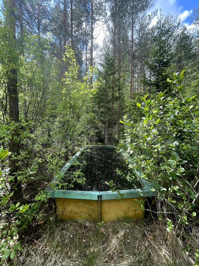 Участок 9,2 сот. (СНТ, ДНП)