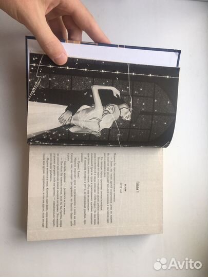 Дана Делон: Падающая звезда