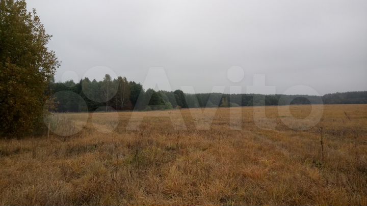 Участок 23,32 га (СНТ, ДНП)