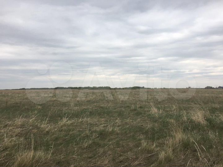 Участок 45 сот. (ИЖС)