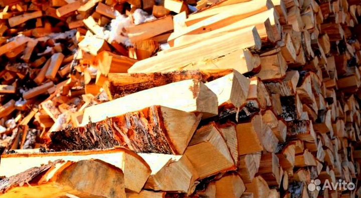 Дрова с Приморска