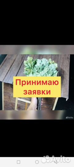 Веники для бани