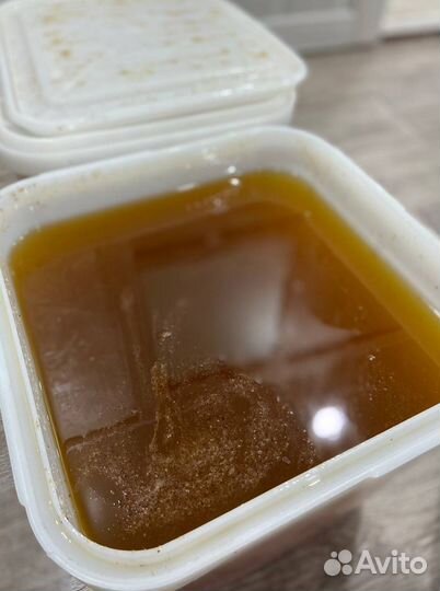 Алтайский мед оптом 2023