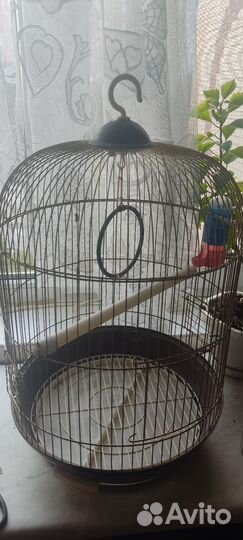 Клетка для домашнего попугая/птички