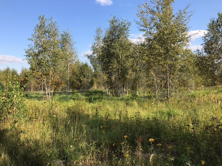 Участок 8 сот. (СНТ, ДНП)