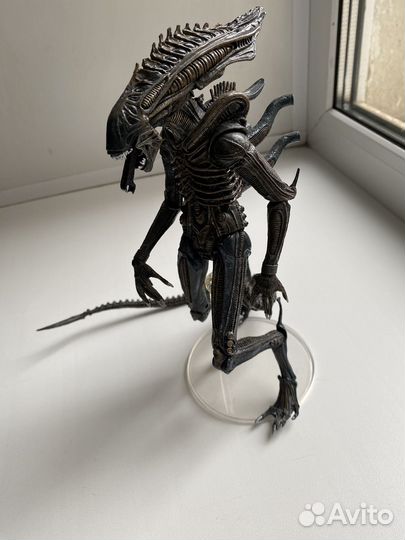 Ксеноморф-чужой