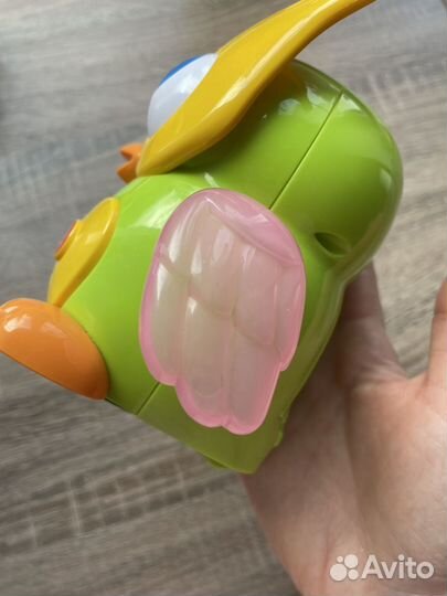 Танцующая и поющая сова