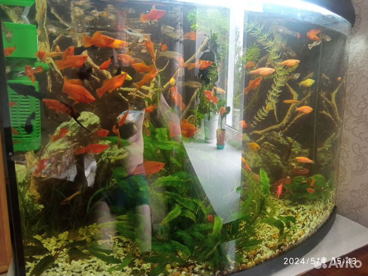 Украшение для аквариума