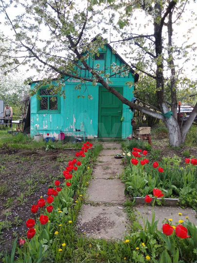 Дача 12 м² на участке 5 сот.