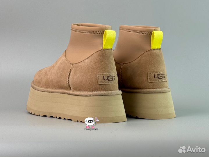 Угги Ugg Classic Mini Dipper Mustard Seed