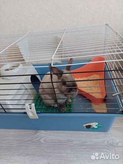 Клетка для кролика