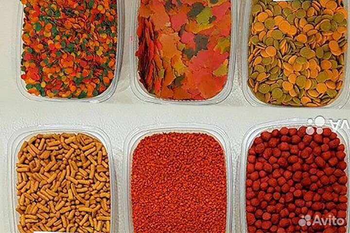 Аквариум/рыбки/растения/корма