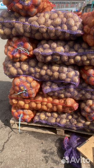 Лук картошка морковь свекла капуста