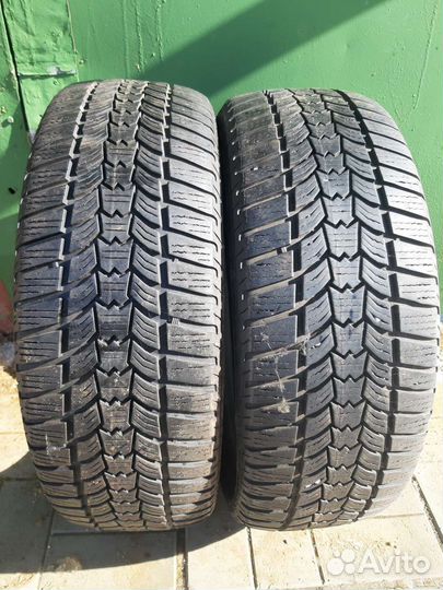 Sava Eskimo HP2 205/55 R16