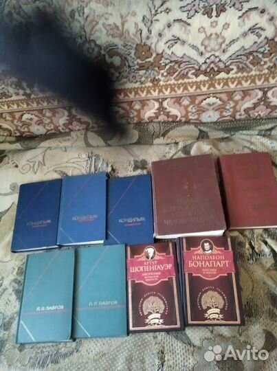 Бэкон. Гоббс. Локк Спиноза и др