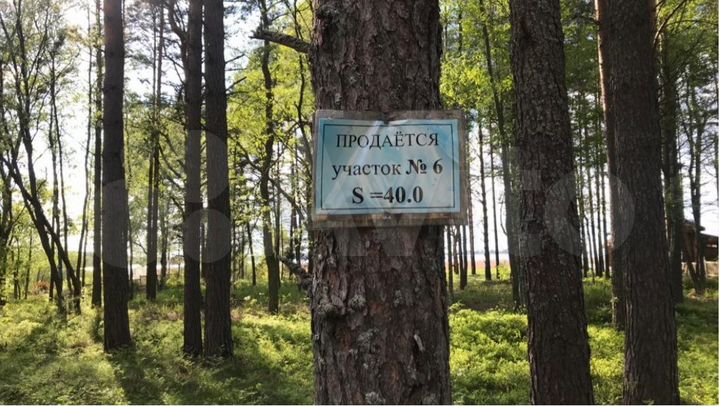 Участок 40 сот. (СНТ, ДНП)