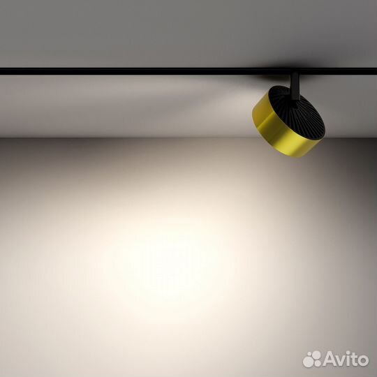 Светильник Maytoni Rado TR040-2-18W4K-BBS