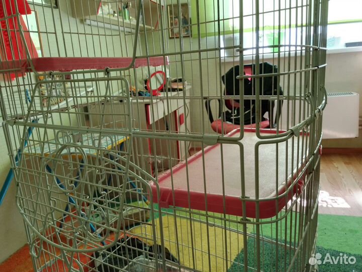Клетка для шиншиллы бу