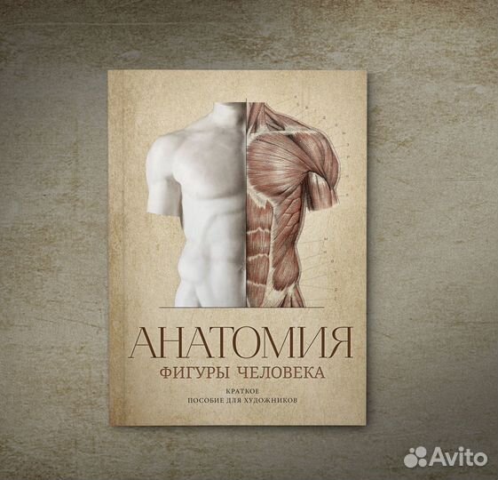 Анатомия фигуры человека, В.А. Могилевцев