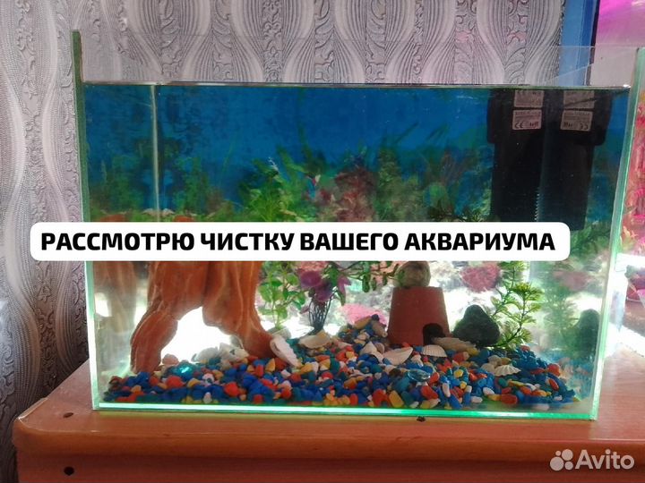 Аквариум готовый и рыбки, чистка