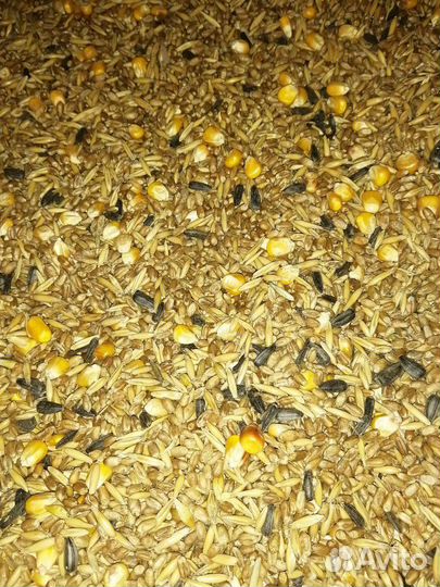 Зерносмесь