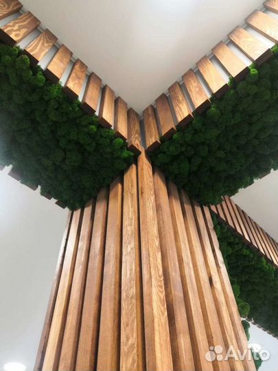 Стабилизированный мох Панели любых размеров