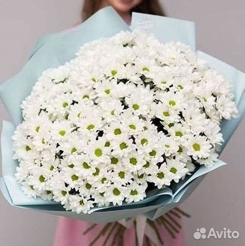 Хризантема Букет хризантем Доставка