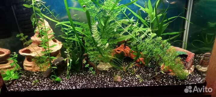 Аквариум 120 литров с тумбой