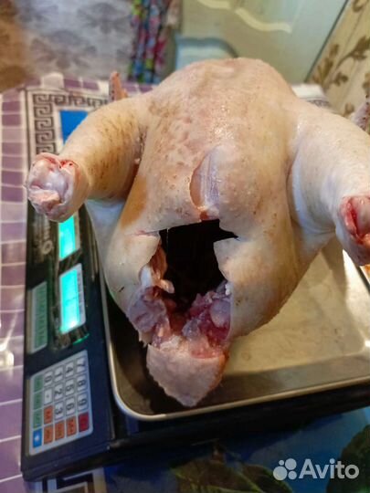Мясо домашнего бройлера(10 месяцев)