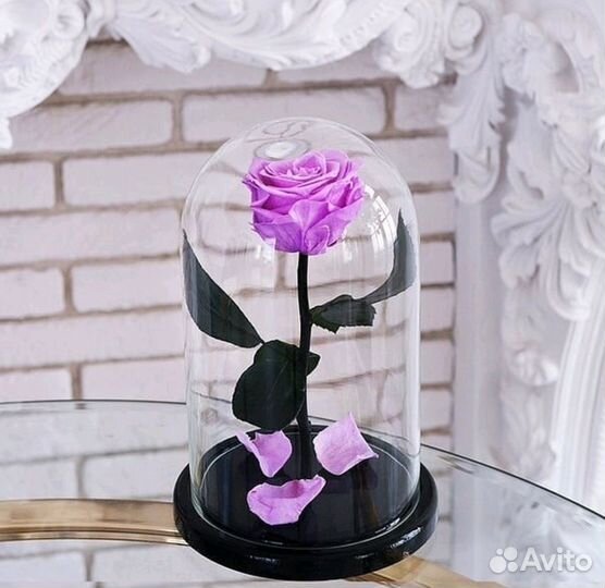 Роза в колбе