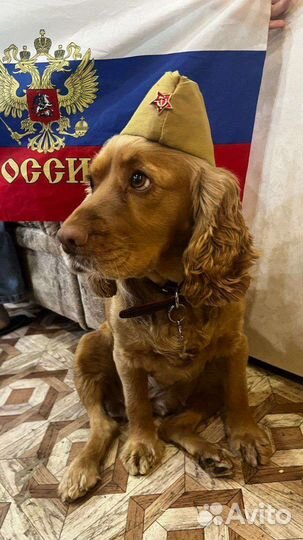 Сниму гараж С выкупом