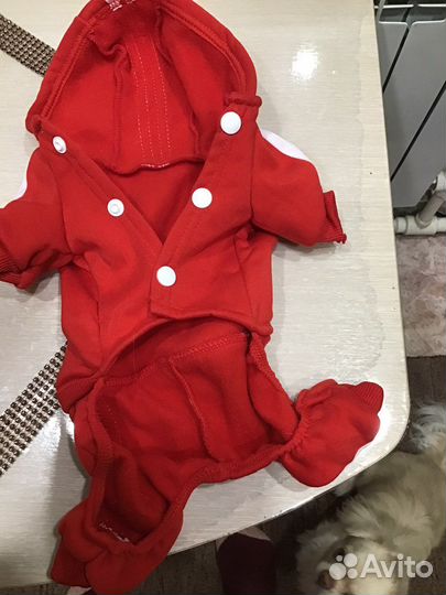 Одежда для маленьких собак