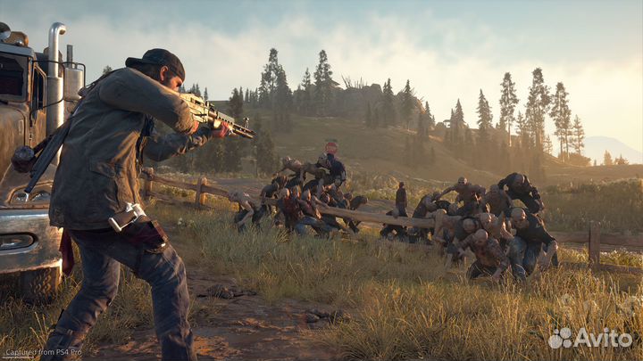 Days Gone Steam RU, TR, KZ