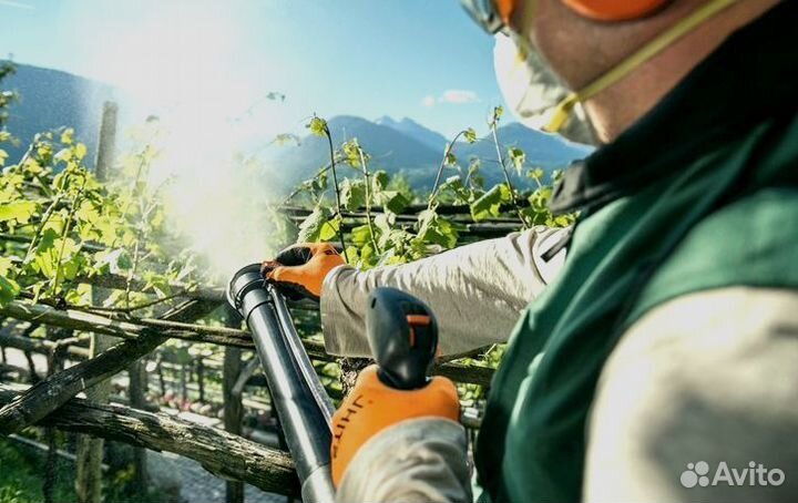 Уничтожение кротов ос блох короеда