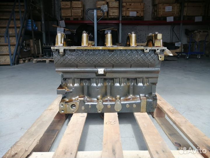 Блок цилиндров 245-1002001-05 ммз