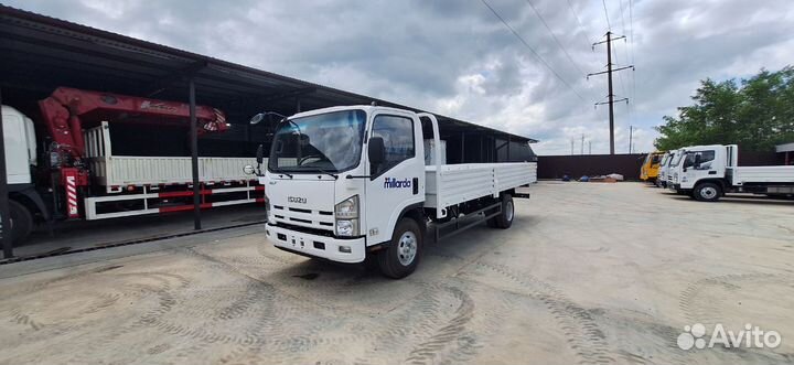 Isuzu Elf, 2024