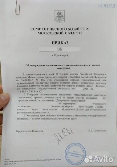 Проект освоения лесов, лесная декларация, отчеты