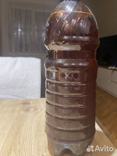 Квас на березовом соку