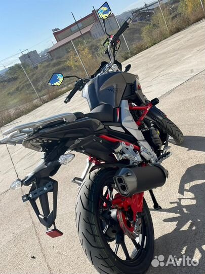 Regulmoto Raptor New