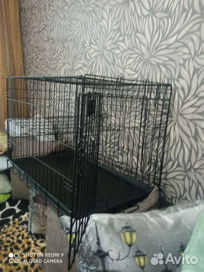 Клетка для животных