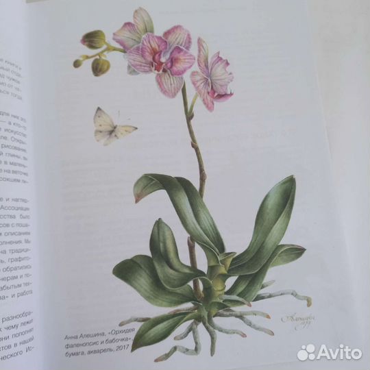 Современное ботаническое искусство, новая