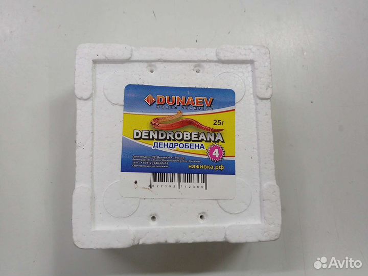 Червь дендробена