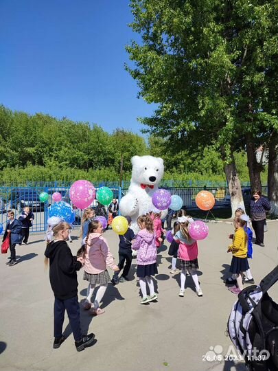 Поздравления белого мишки