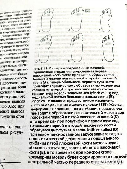 Локомоция человека. Книга