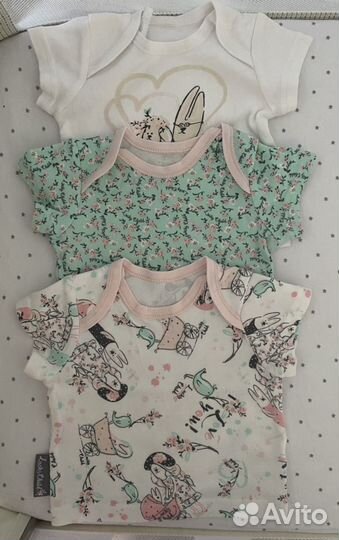 Костюм (футболка +шорты) 56-65