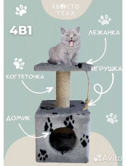 Когтеточка