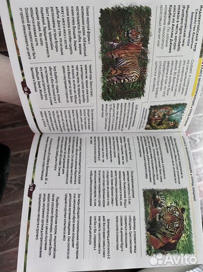 Детская энциклопедия