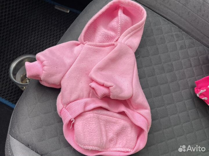 Одежда для собак