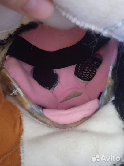 Фурсьют кошки