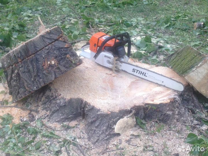 Вырубка деревьев Расчистка участков Дробление пней